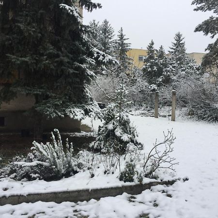 Next To University Debrecen Exterior photo