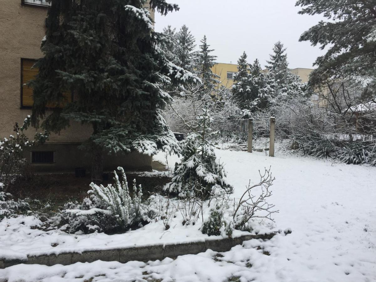 Next To University Debrecen Exterior photo